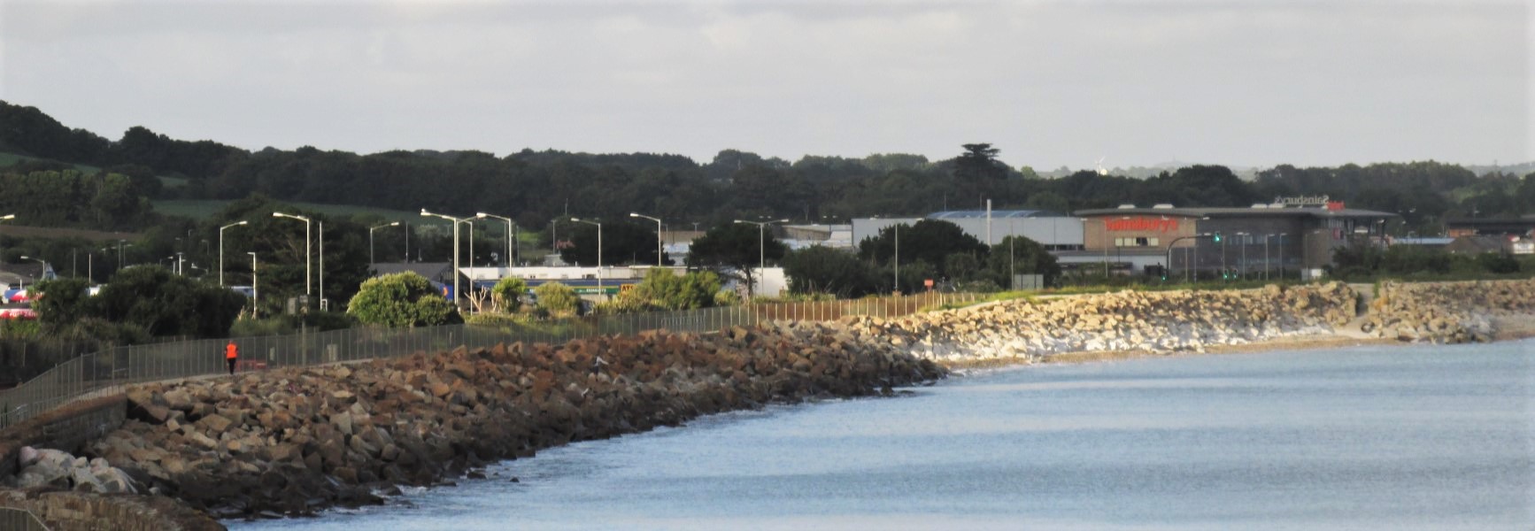 Photograph of Eastern Green