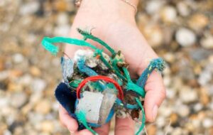 Photograph of plastic discovered on beach
