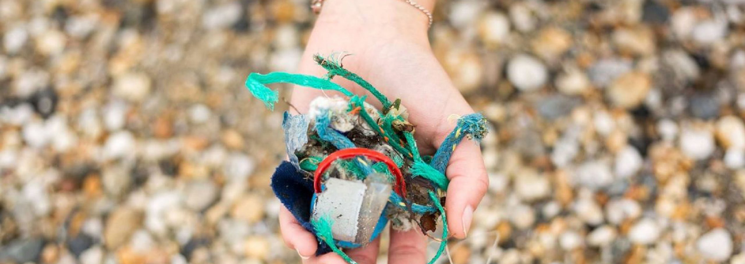 Photograph of plastic discovered on beach