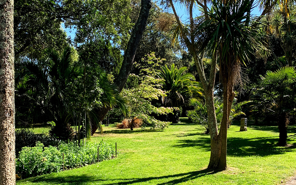 Photograph of Penlee Park