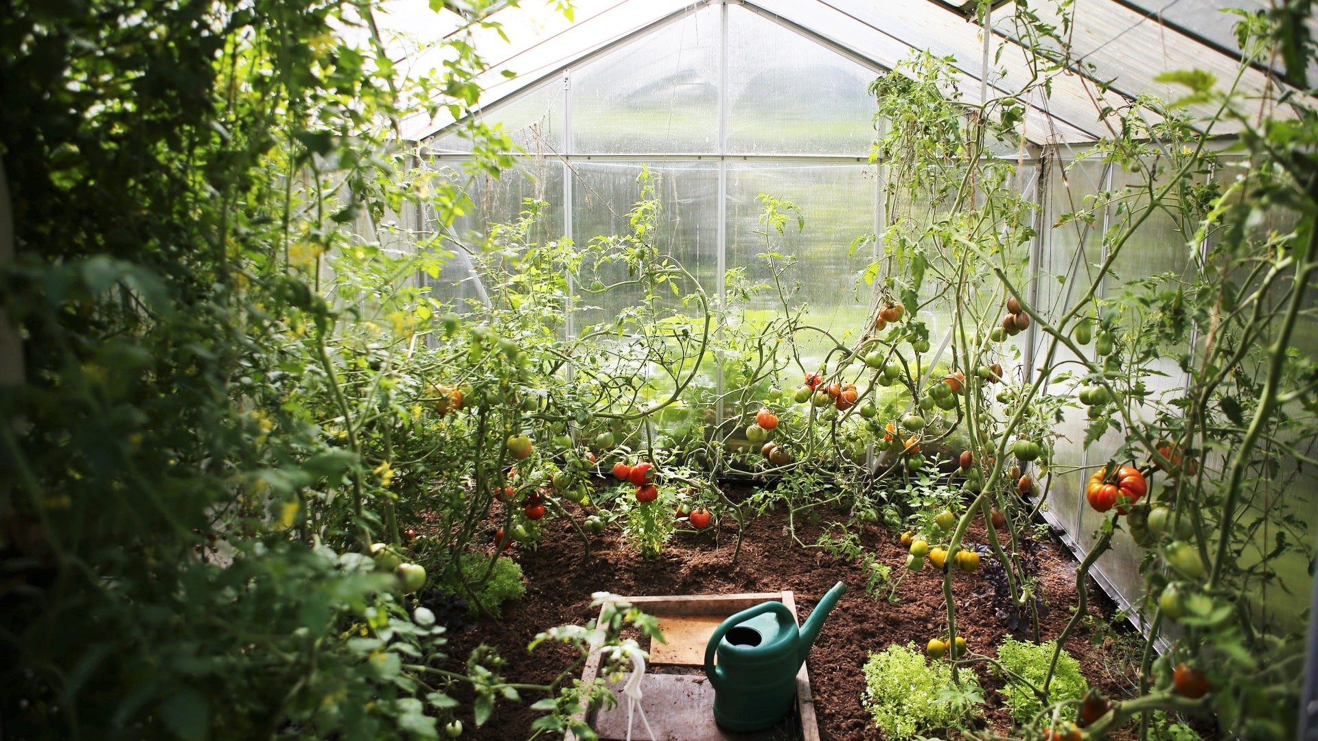 allotments