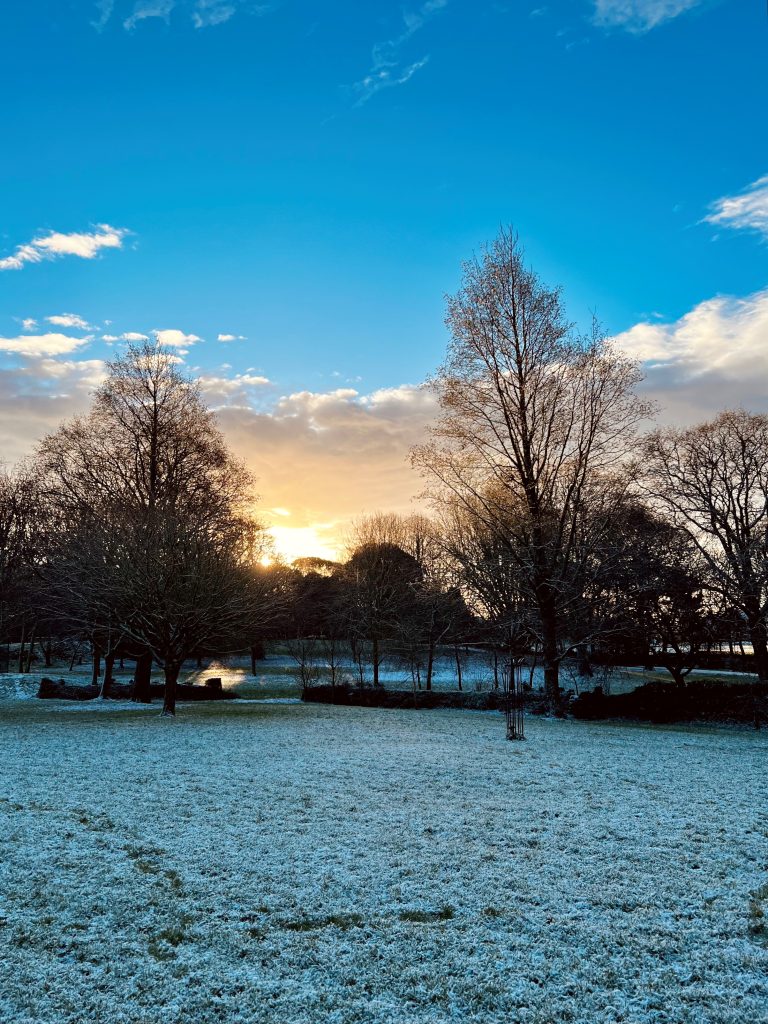Snow on the ground in Penlee Park as the sun comes up in the sky