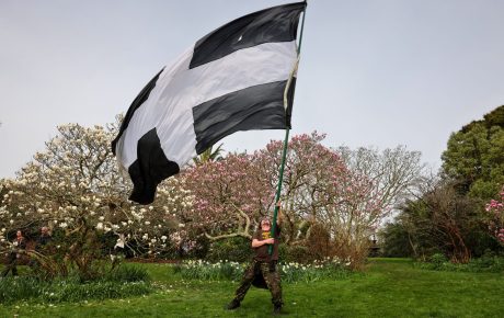 A person waving a giant St Piran flag in Morrab Gardens, on St Piran's Day 2026